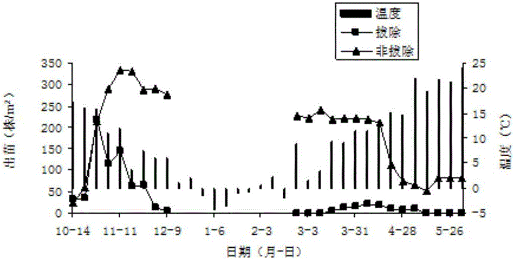 Agricultural method for controlling Aegilops tauschii weeds in winter wheat fields