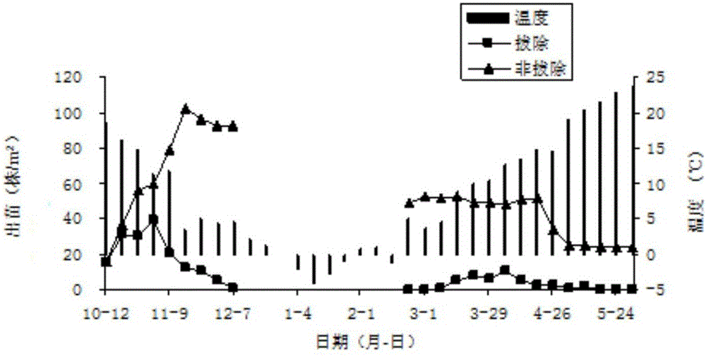 Agricultural method for controlling Aegilops tauschii weeds in winter wheat fields