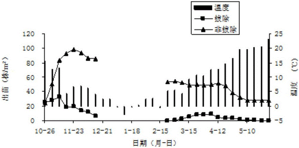 Agricultural method for controlling Aegilops tauschii weeds in winter wheat fields