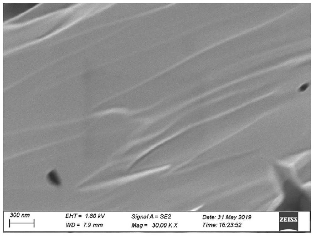 A kind of flaky iron phosphate and its preparation method and application