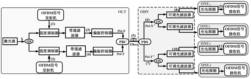 Polarization multiplexing band interpolation based OFDMA-PON (orthogonal frequency division multiple access-passive optical network) system