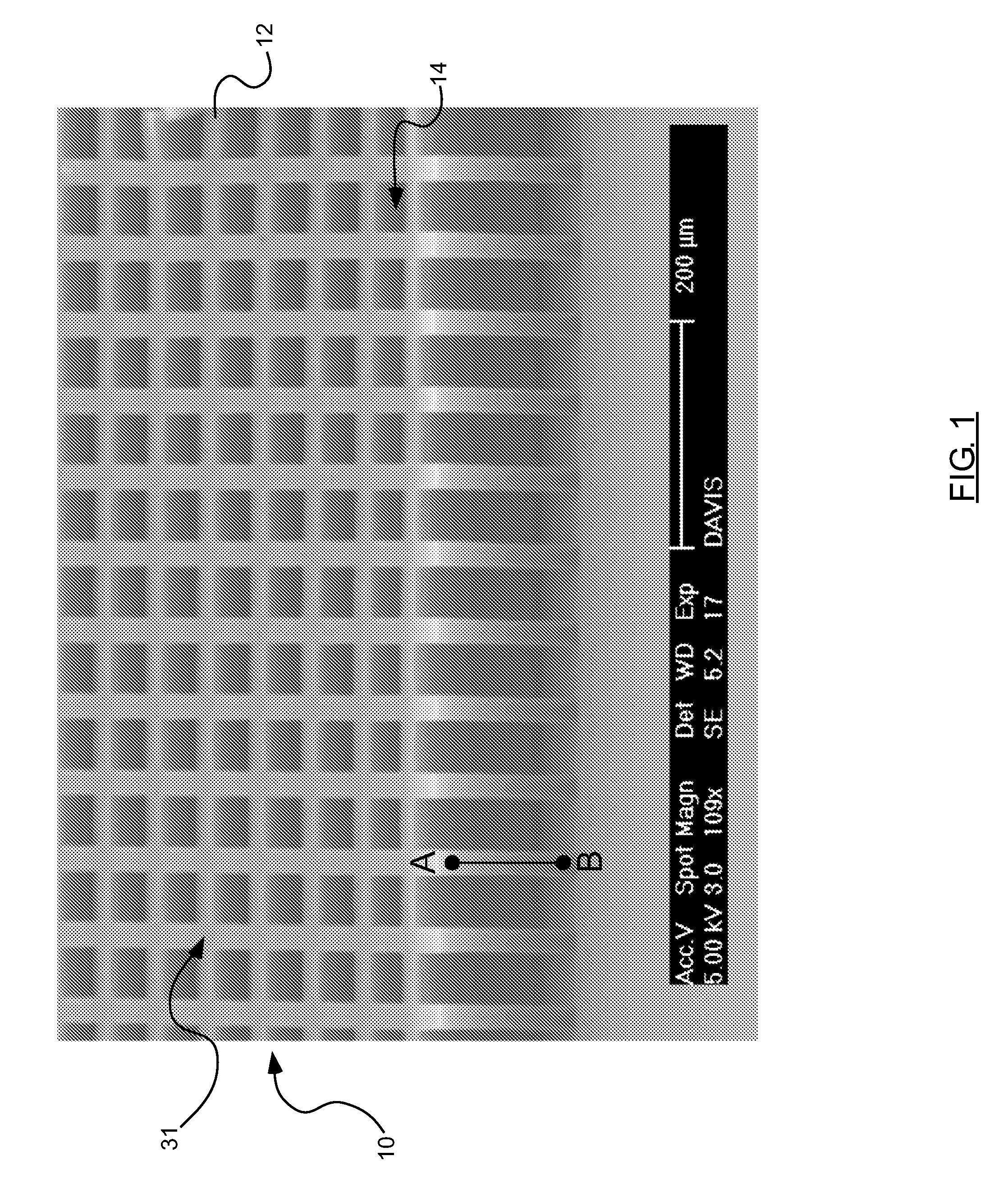 Carbon nanotube MEMS assembly