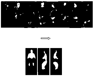 Pedestrian detection method oriented to automobile auxiliary driving on the basis of neural network