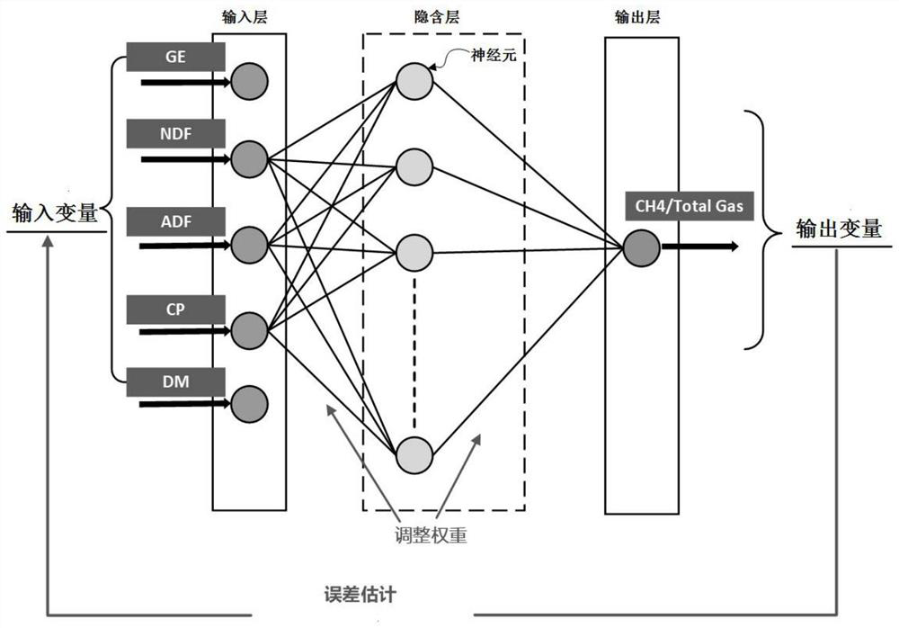 Prediction method of TMR daily ration rumen fermentation methane yield based on PSO-BP neural network