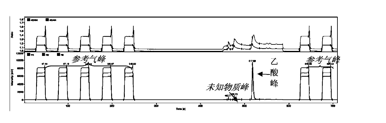 Rapid measuring method for carbon acetate stable isotope in table vinegar