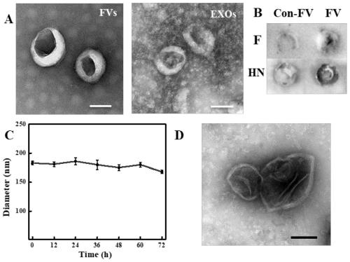 Exosome surface protein and internal miRNA simultaneous detection chip and detection technology