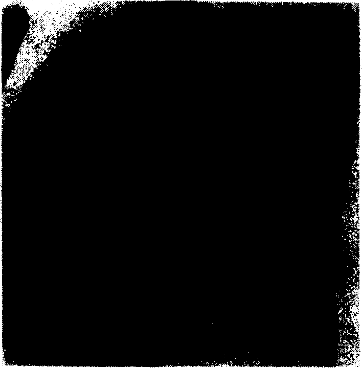 Method for large-scale preparing ZnO nano bar array