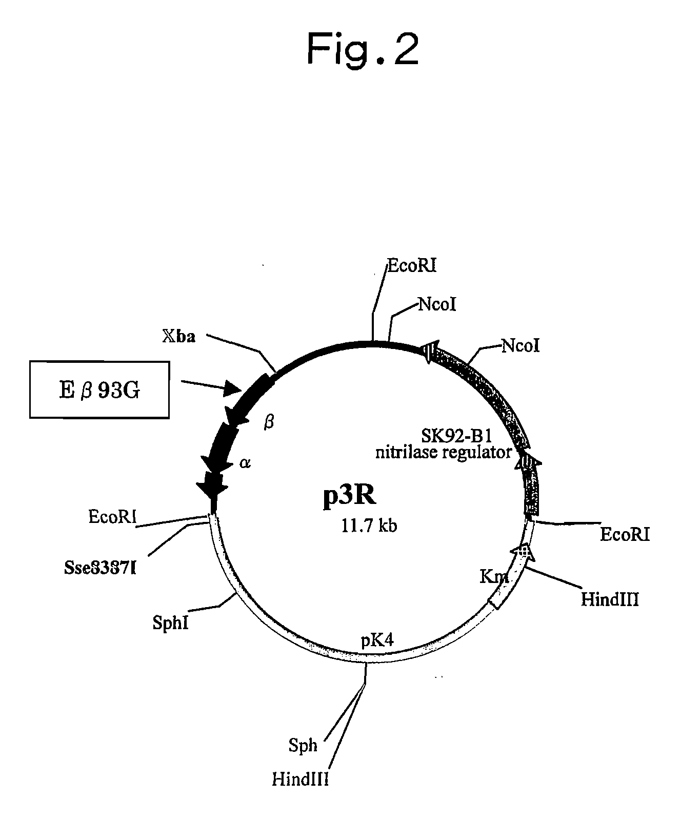 Nitrile Hydratase