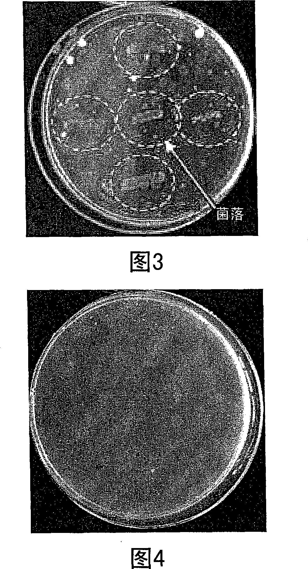 Plant epidemic prevention agent, plant epidemic prevention method, plant epidemic prevention system, plant, and plant cultivation method