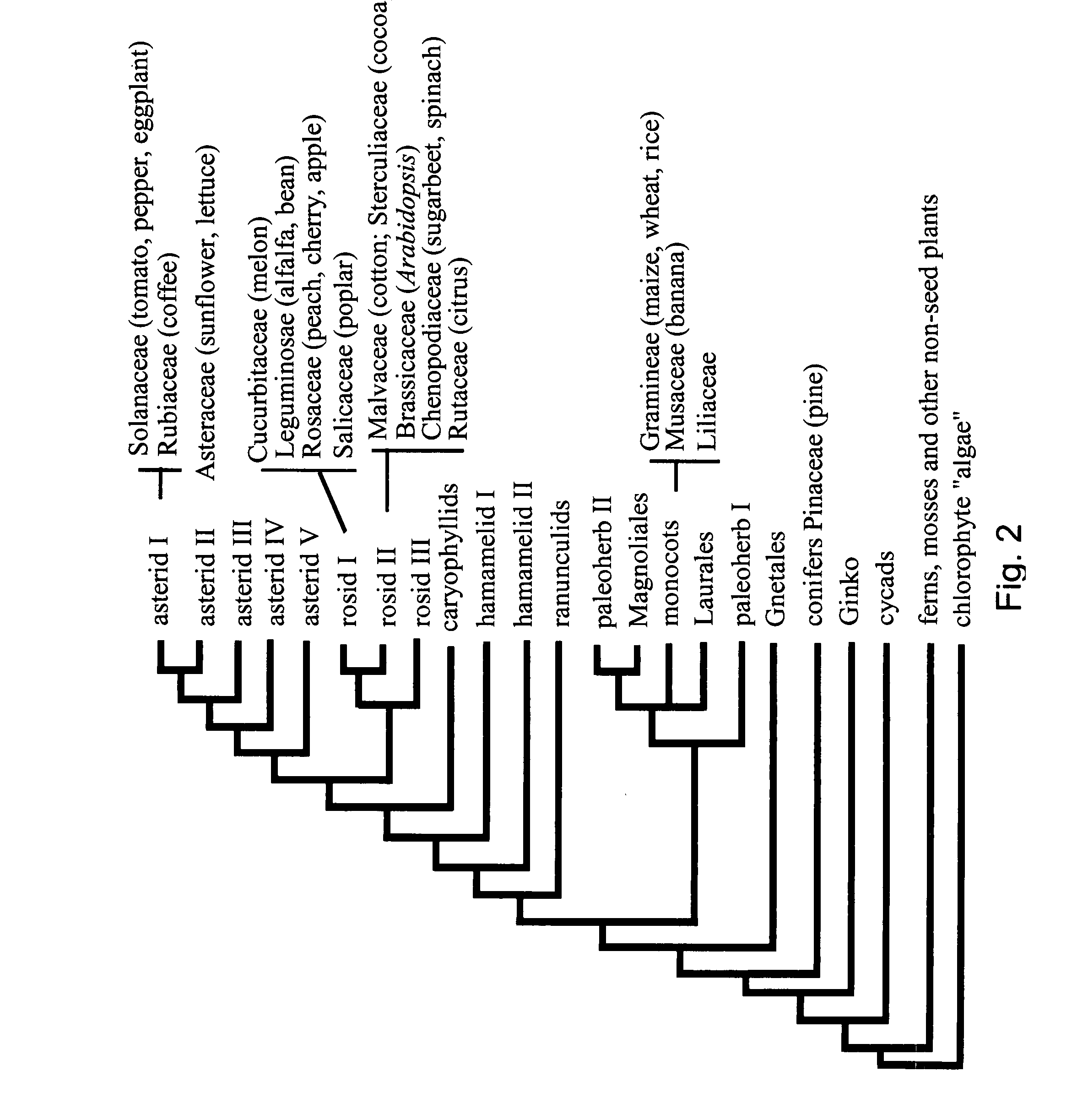 Early flowering in genetically modified plants