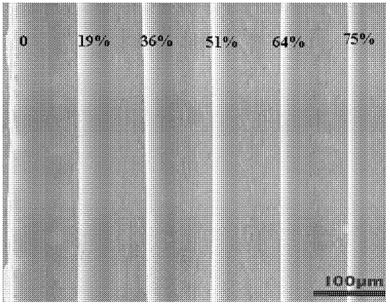 Cobalt-based amorphous nanocrystal biphase metal fiber and preparation method thereof