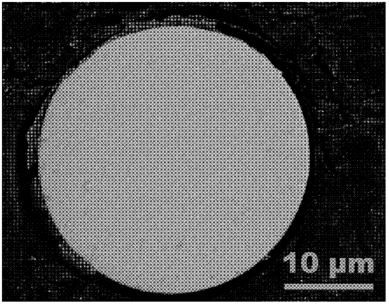 Cobalt-based amorphous nanocrystal biphase metal fiber and preparation method thereof