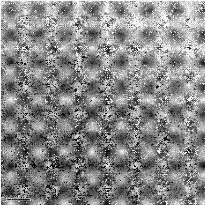 Cobalt-based amorphous nanocrystal biphase metal fiber and preparation method thereof