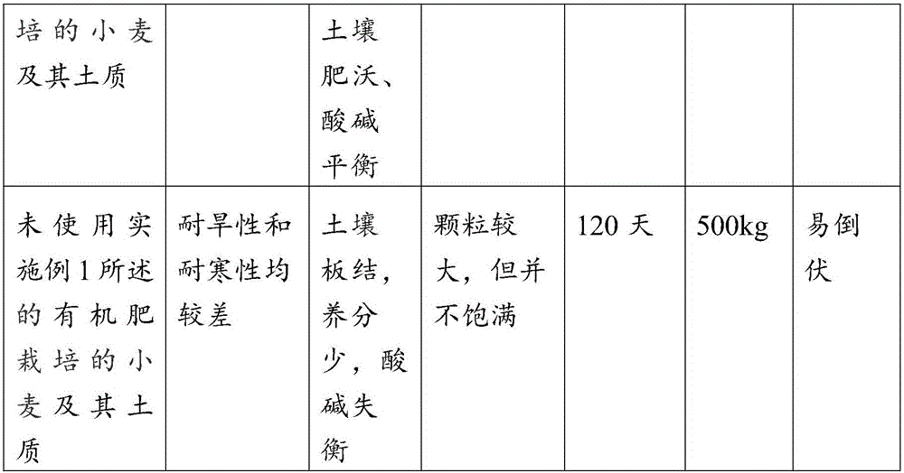 Compound starter and preparation method and application thereof