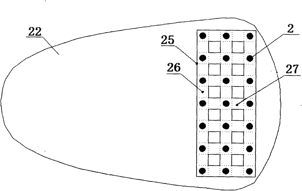 Controlled grouting anti-skid composite structure of steel flower tube and its rapid construction method