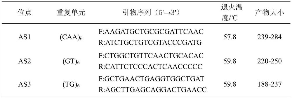 A method for identification of hybrid seabream families using microsatellite markers