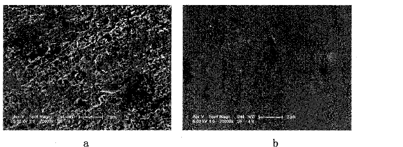 Composite ion injection method for dual polar plates of proton exchange membrane fuel cell