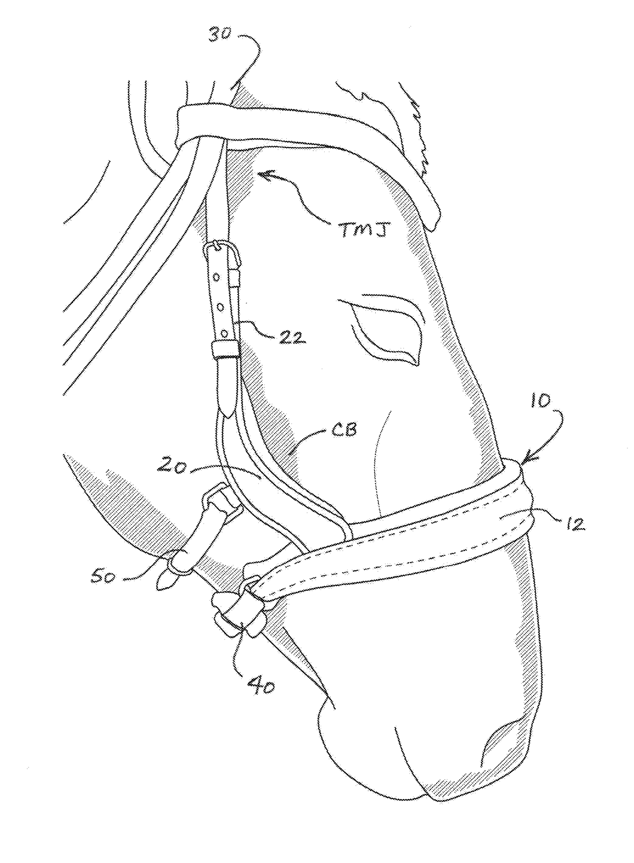 Bridle noseband