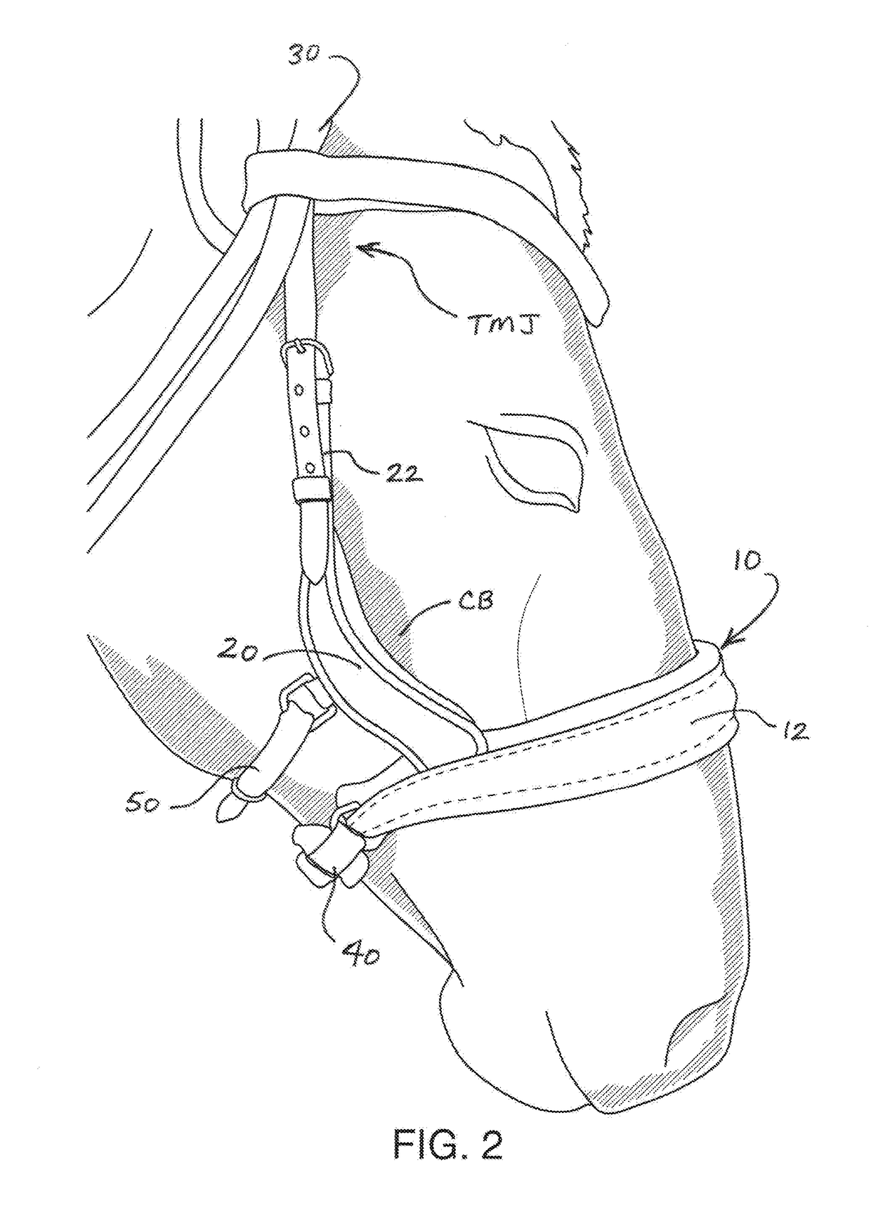 Bridle noseband