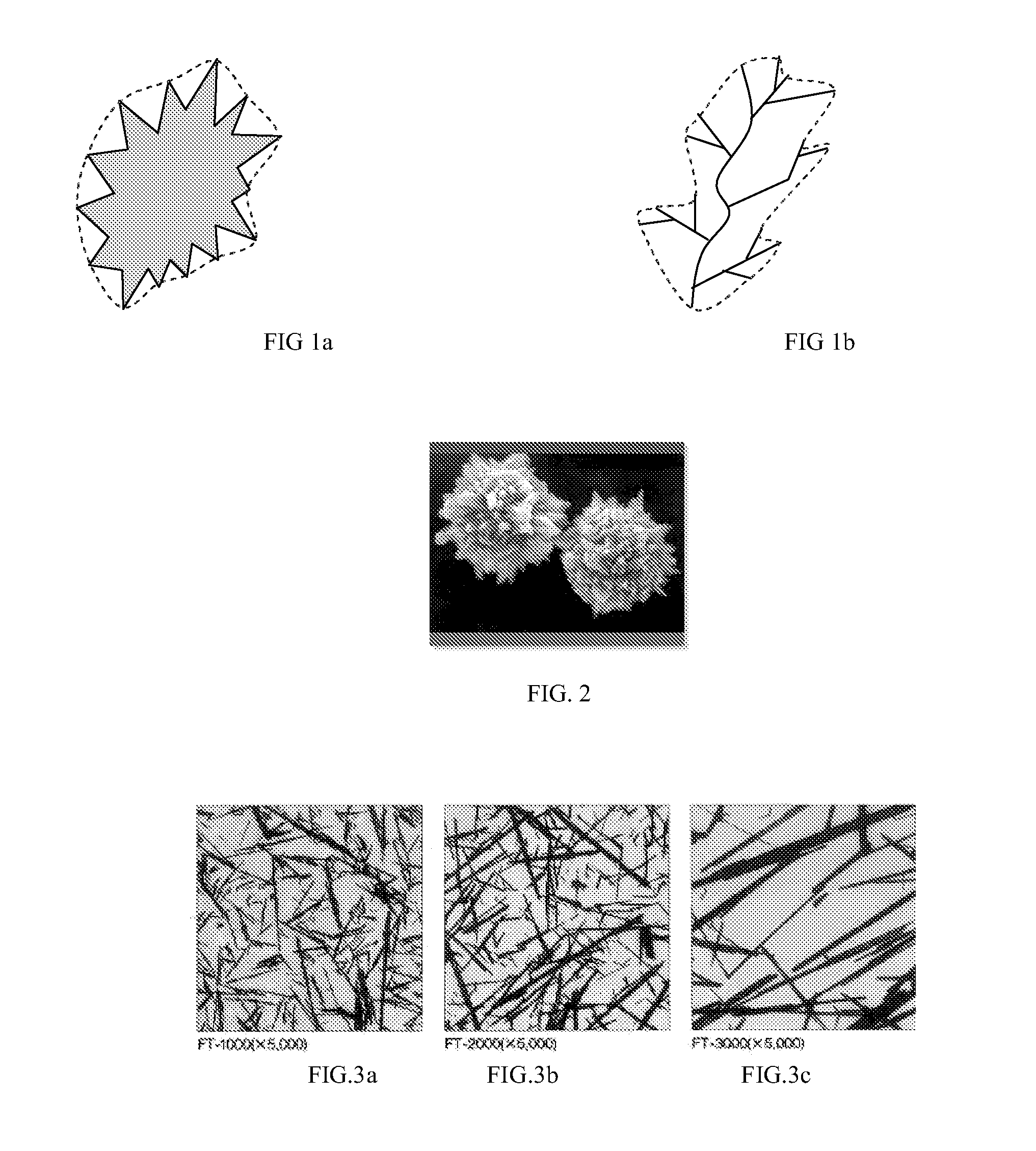 Polymer Composition