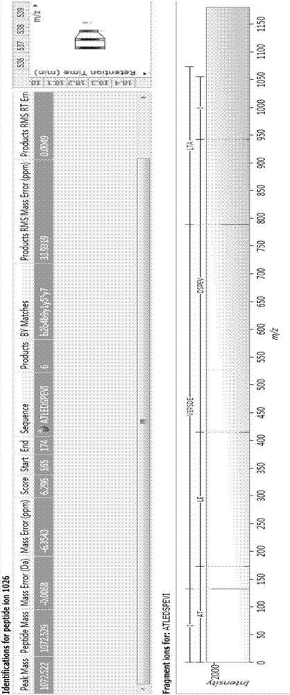 Bioactive polypeptide ATLEDSPEVI as well as preparation method and application thereof