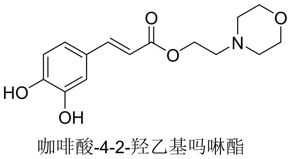 Application of caffeic acid derivatives to promotion of in-vitro proliferation of umbilical cord mesenchymal stem cells and preparation of proliferation promoting culture medium