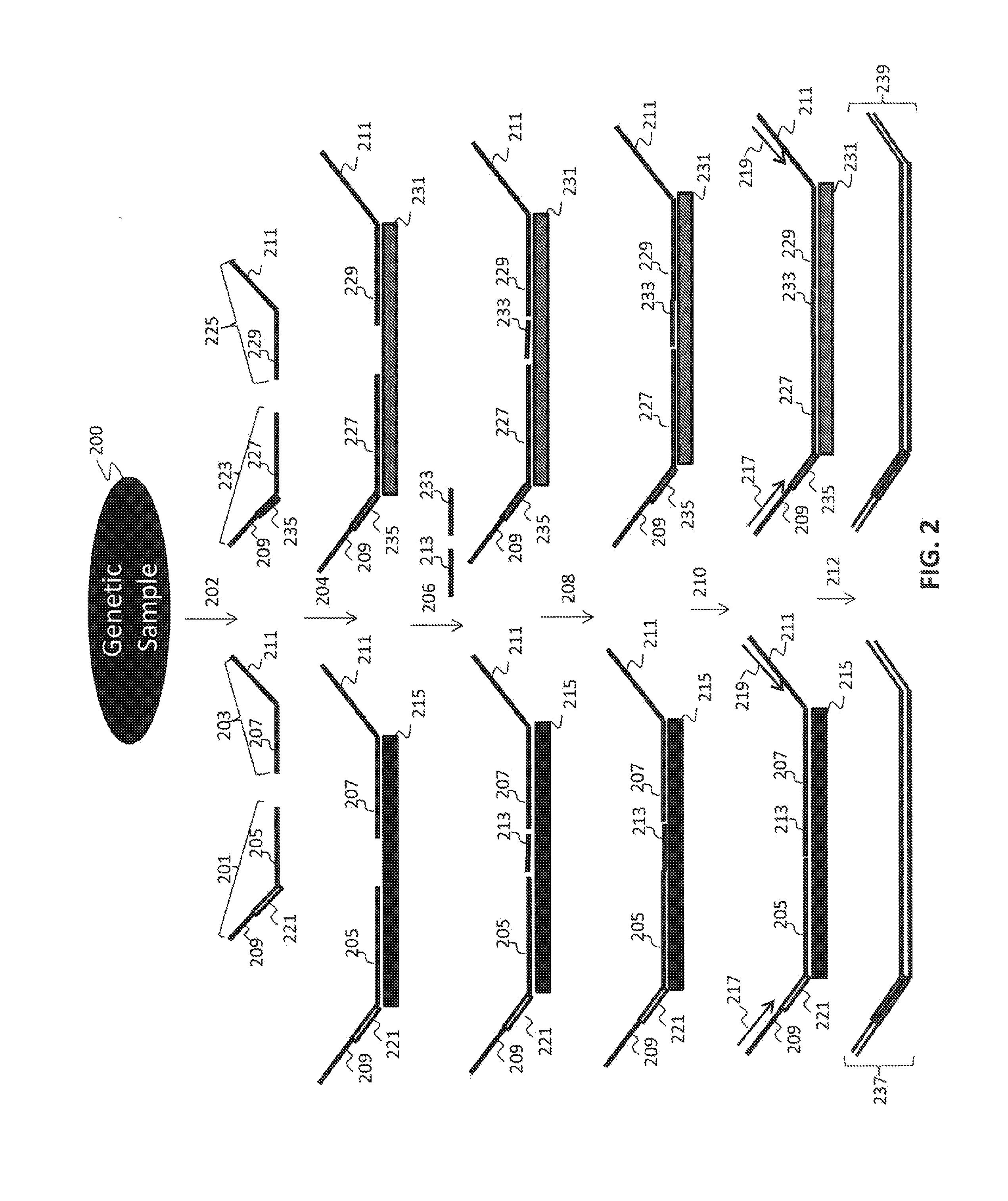 Non-invasive fetal sex determination