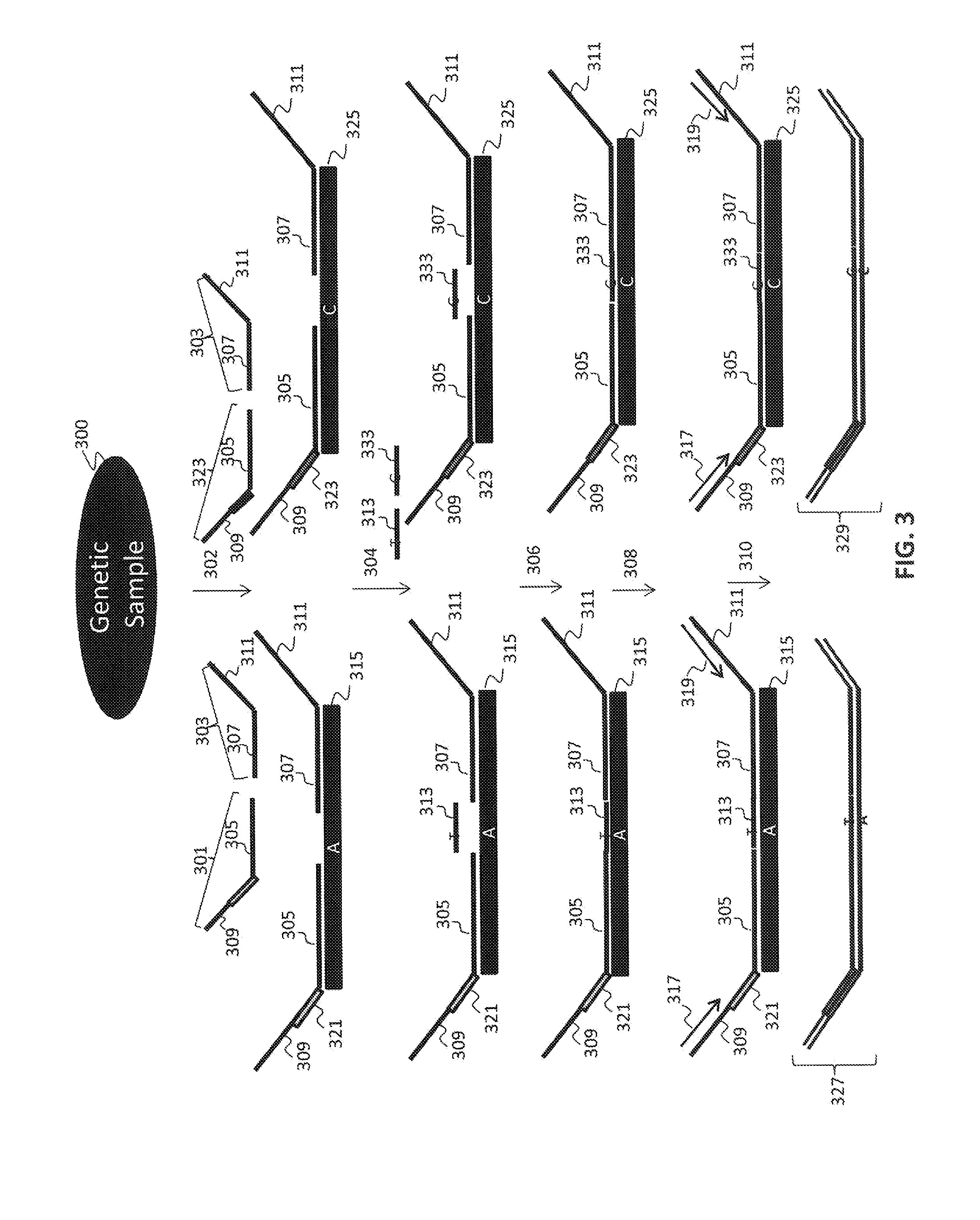 Non-invasive fetal sex determination