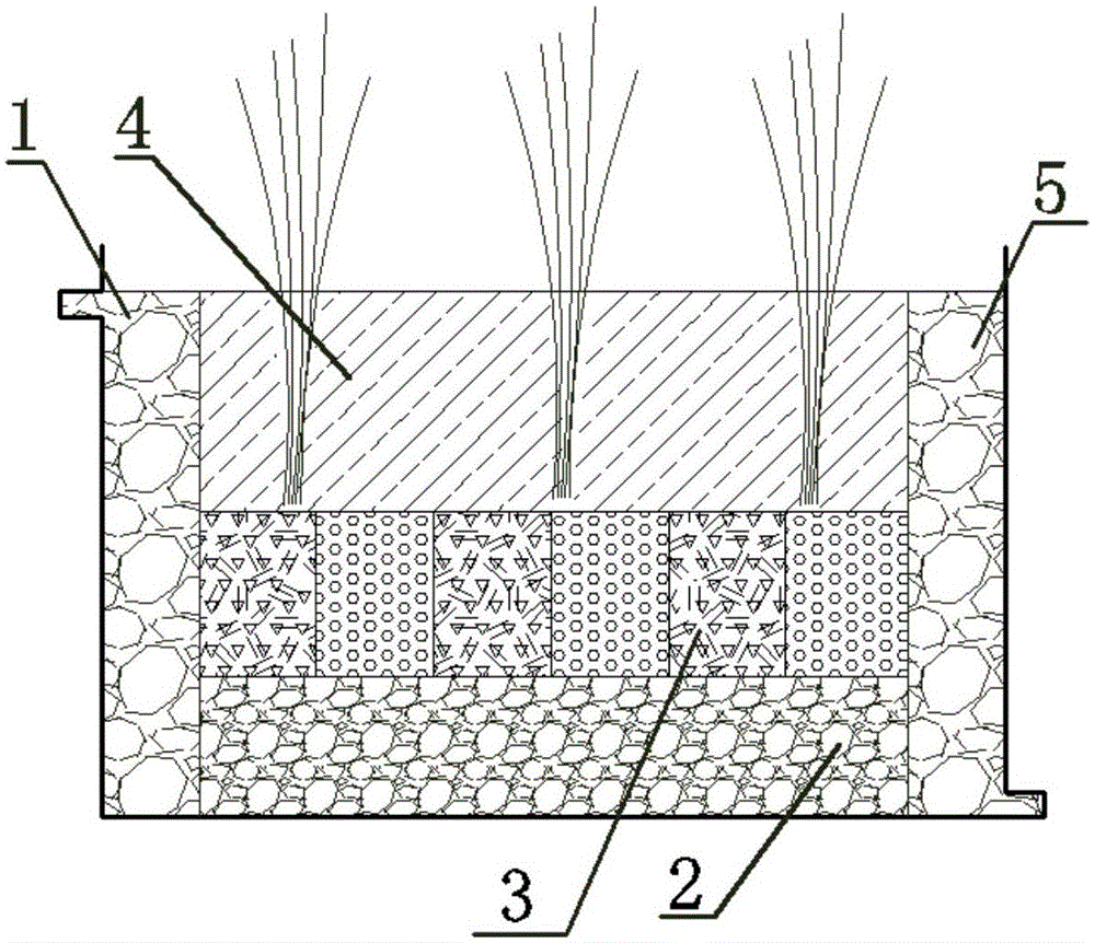 Constructed wetland denitrification sewage treatment device and sewage treatment method