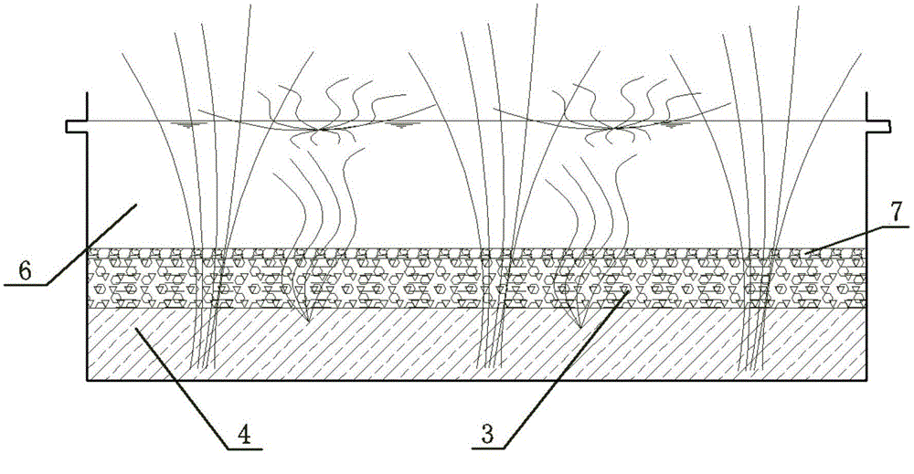 Constructed wetland denitrification sewage treatment device and sewage treatment method