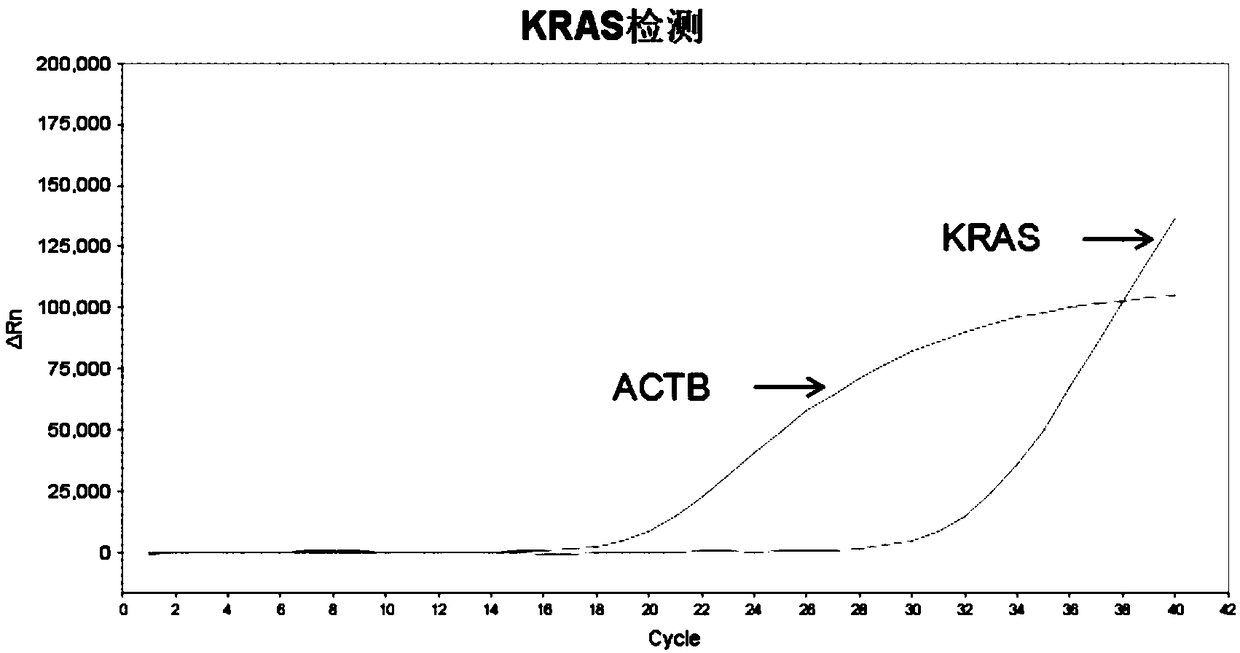 Kit for detecting colorectal cancer and precancerous lesions and use method thereof