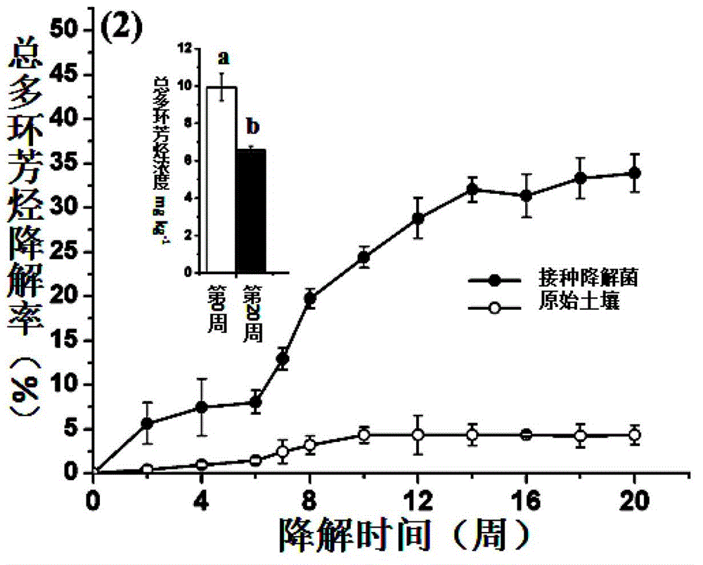 Chemistry-microorganism combination restoration method of polycyclic aromatic hydrocarbons and heavy metal composite contaminated site soil