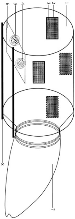 Artificial rapid propagation method for bactrocera intermedia