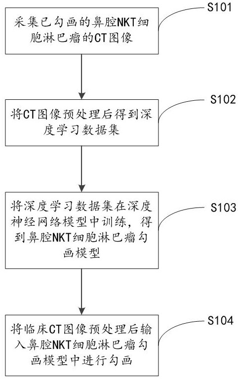 Method and device for automatic delineation of radiotherapy target area for nasal cavity nkt cell lymphoma