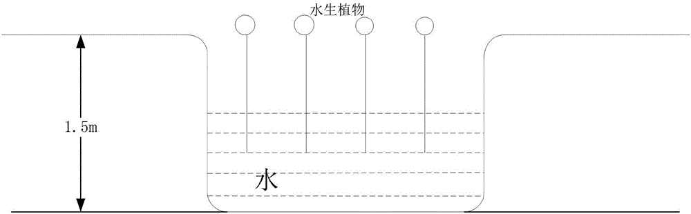 Rural area domestic sewage collection and treatment ecological network system