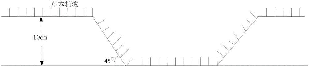 Rural area domestic sewage collection and treatment ecological network system