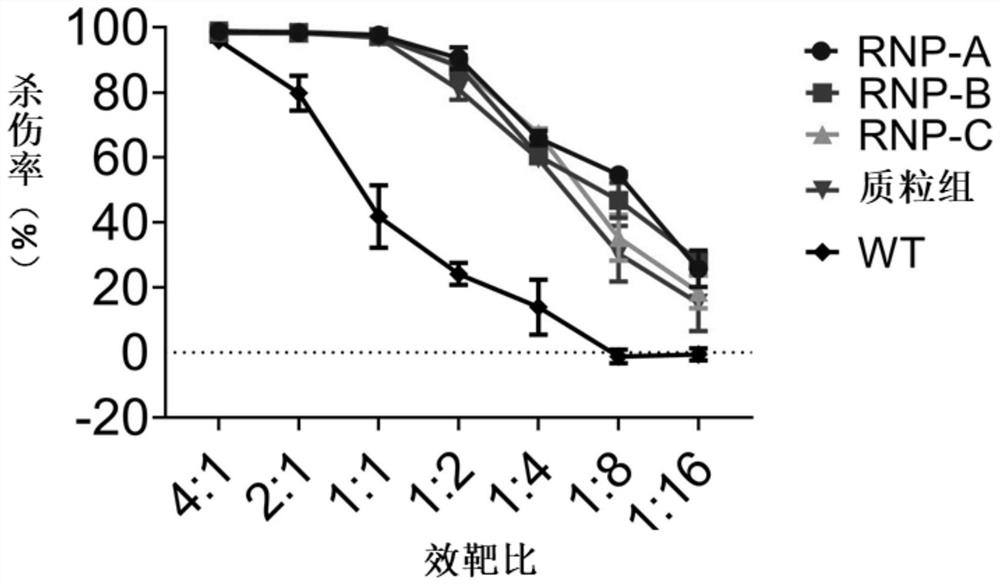 Method for reprogramming ITNK cells based on CRISPR/Cas9