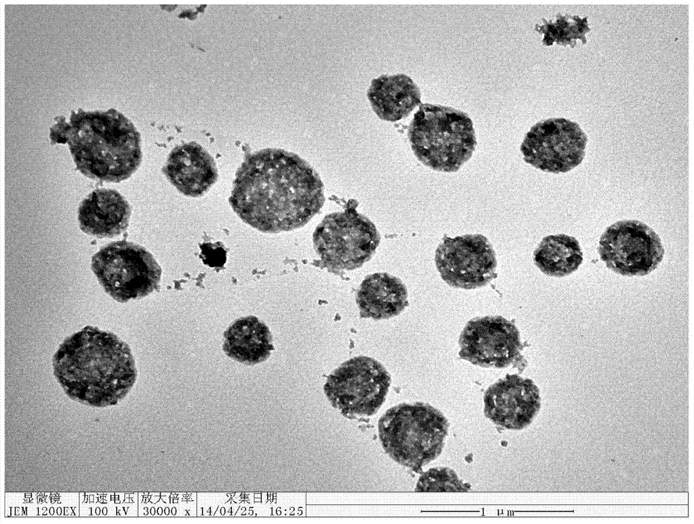 A bifunctional nanocomposite sphere based on metal ion-induced polypeptide self-assembly and its preparation method