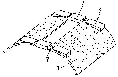 Lung protection device suitable for thoracic surgery