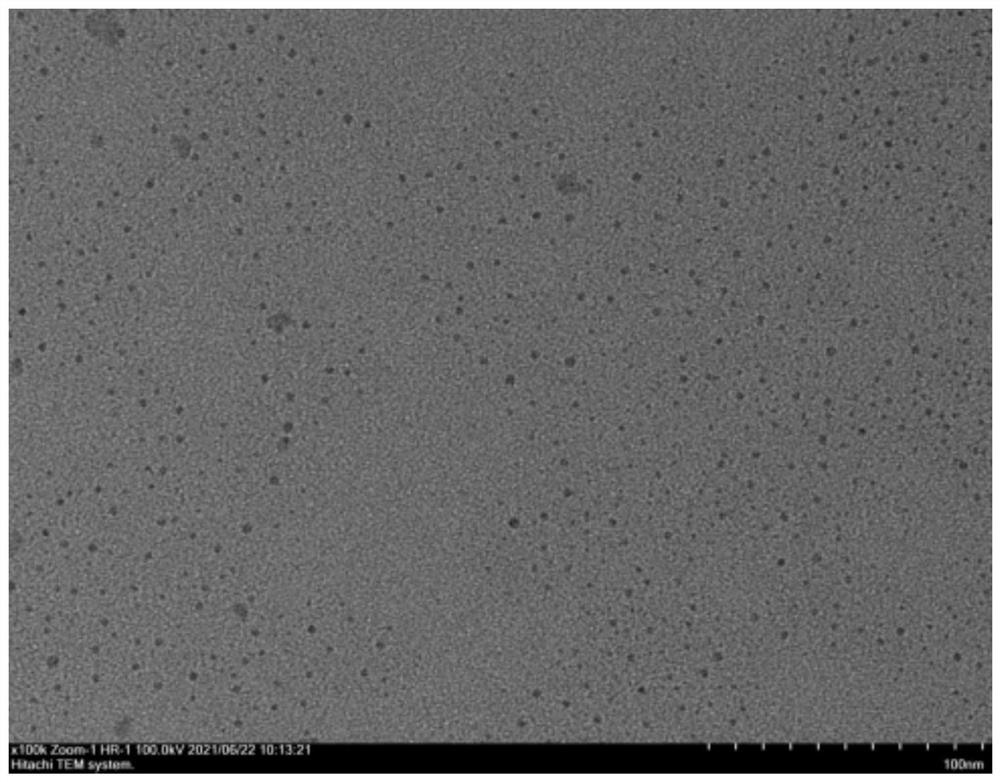 Preparation method of gold nanoparticles as electron microscope developer and obtained gold nanoparticles