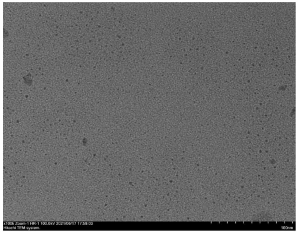 Preparation method of gold nanoparticles as electron microscope developer and obtained gold nanoparticles