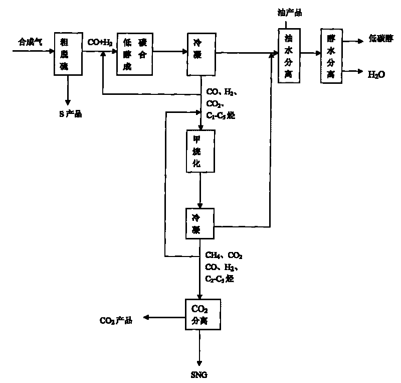 Sulfur tolerant catalyzing process for preparing low carbon alcohol from synthesis gas and co-producing natural gas