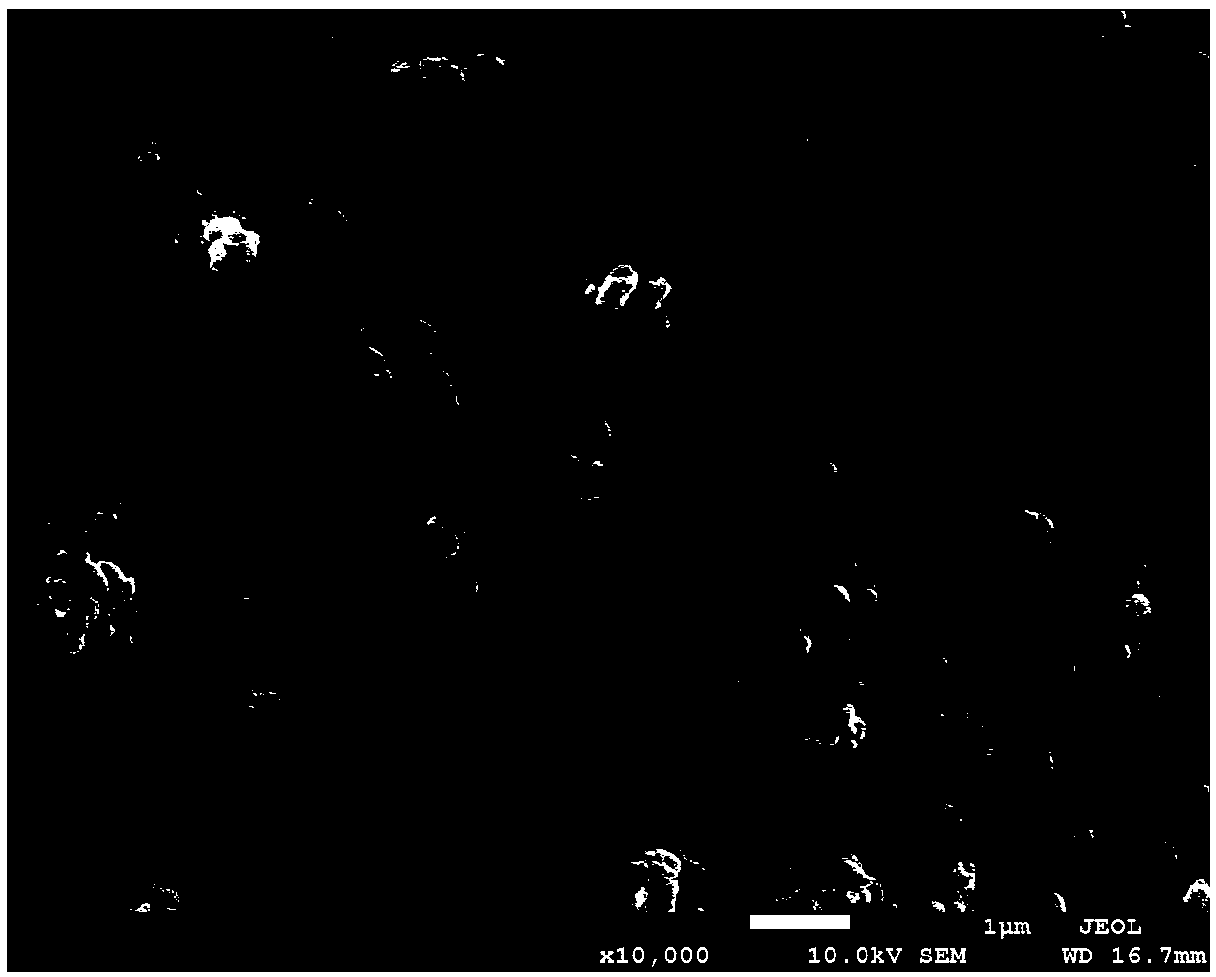 Method for encapsulating slightly soluble drugs by ZnO-containing hydrogel beads