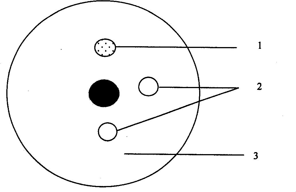 Nanometer track CD-enciphering method and CD based on the method