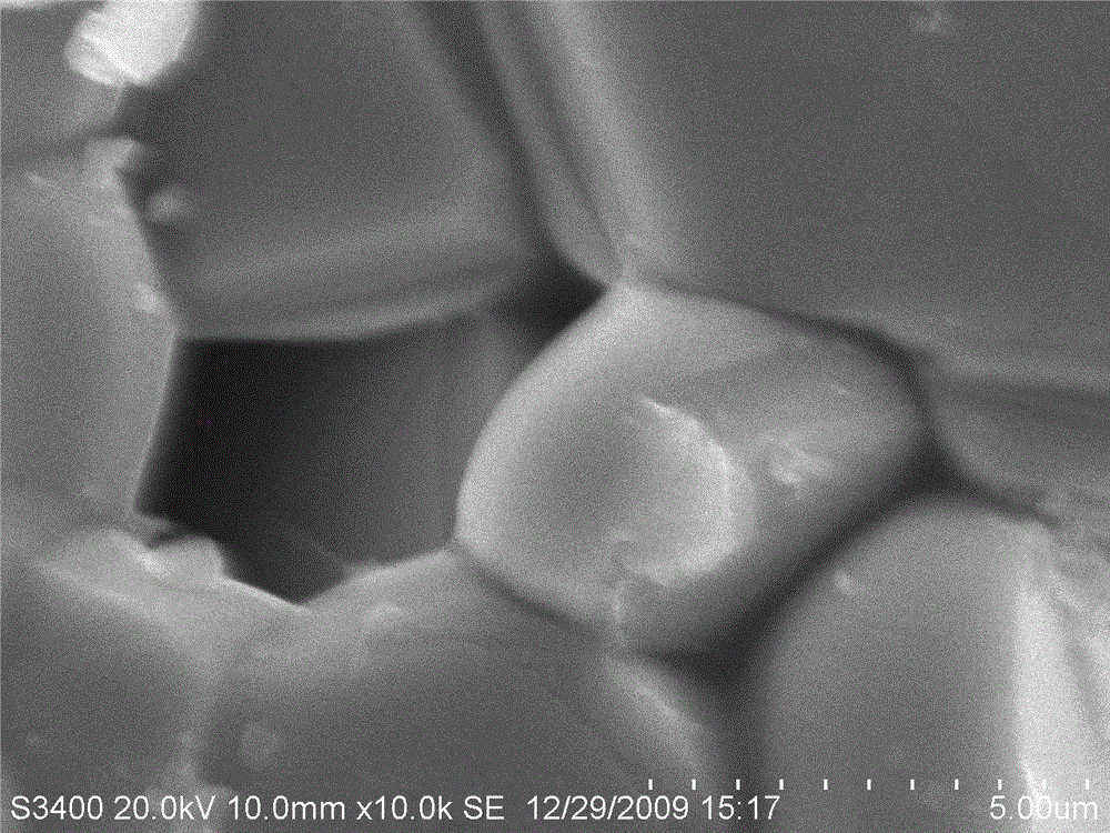 Ni-doped CuCrO2-based oxide thermoelectric material and preparation method thereof