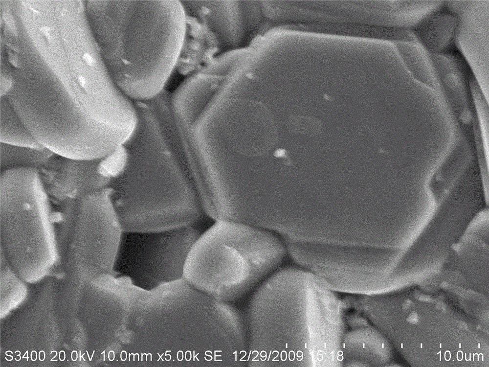 Ni-doped CuCrO2-based oxide thermoelectric material and preparation method thereof