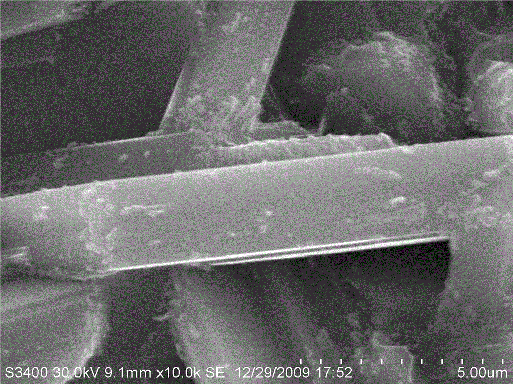 Ni-doped CuCrO2-based oxide thermoelectric material and preparation method thereof