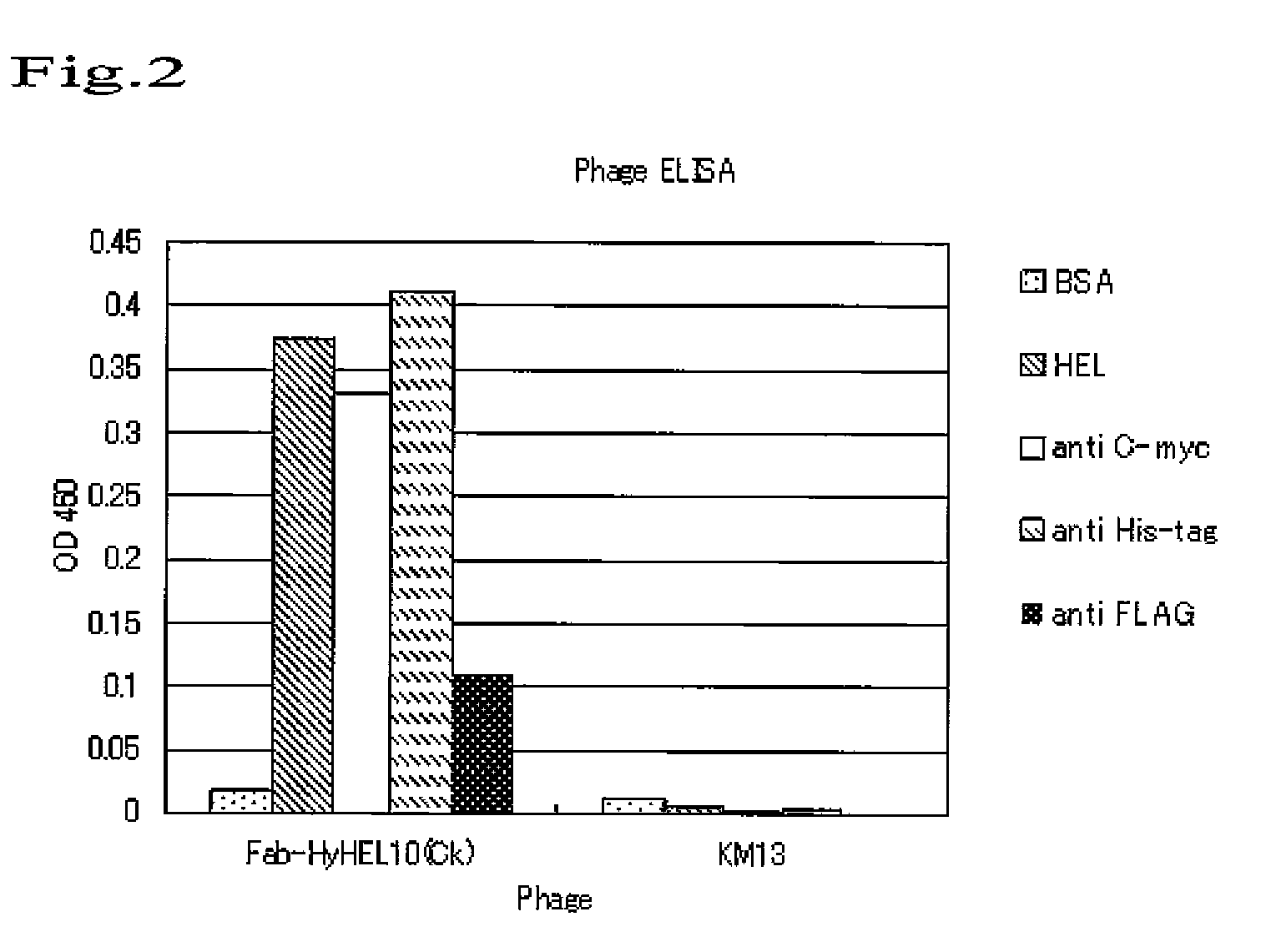 Vector for screening antibody