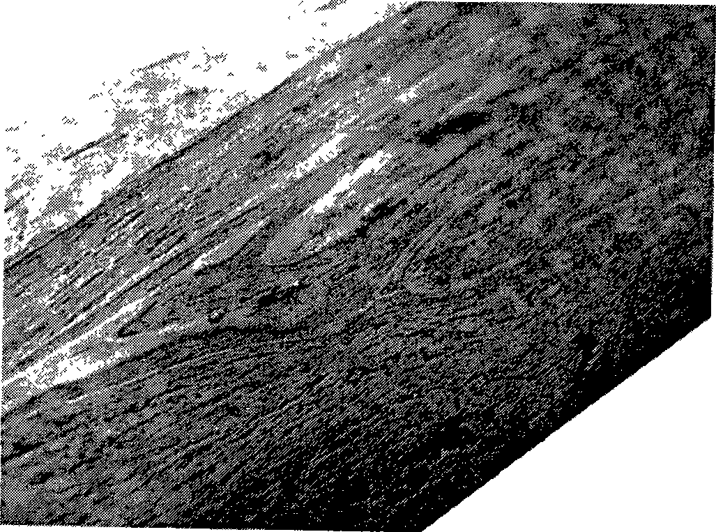 Method for manufacturing handwork flower folding knife