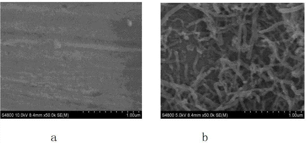 Hydrogen peroxide sensor, preparation method thereof, and application thereof in detecting unicellular hydrogen peroxide